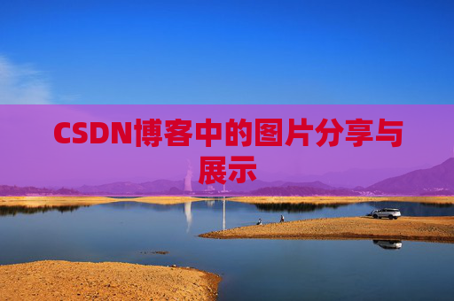 CSDN博客中的图片分享与展示